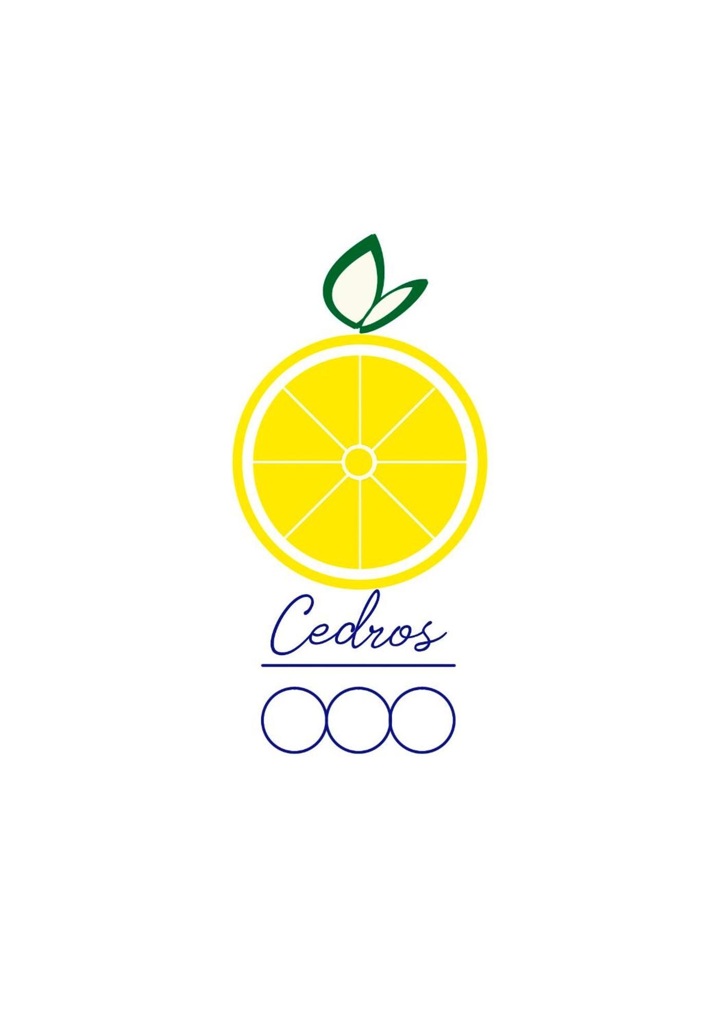 巴勒莫Cedros公寓 外观 照片